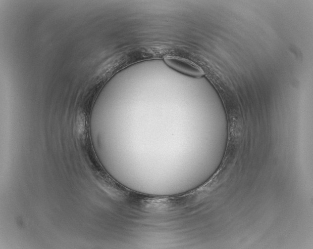 X0000115520132200911201707