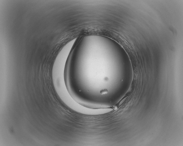 X0000115520133200911201707