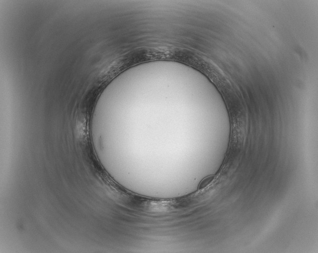 X0000115520134200911201707