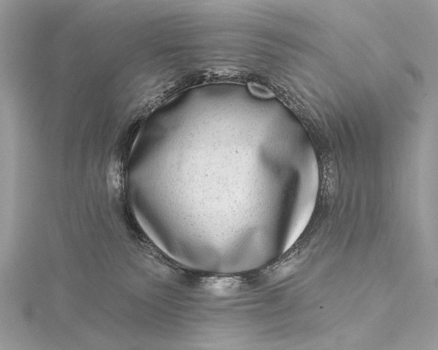 X0000115520135200911201707