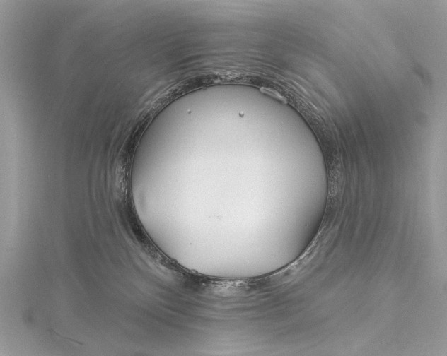 X0000115520136200911201707