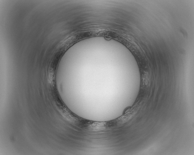 X0000115520138200911201707