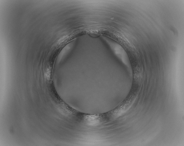 X0000115520139200911201707