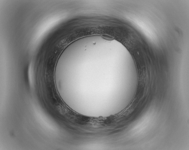 X0000115520140200911201707