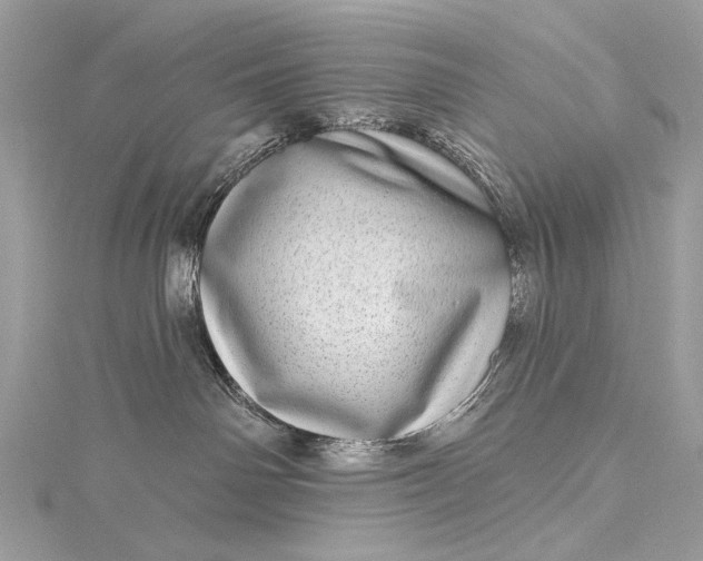 X0000115520142200911201707