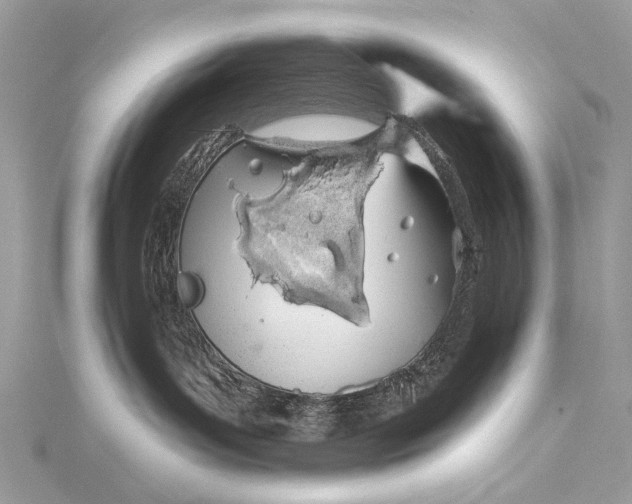 X0000115520143200911201707