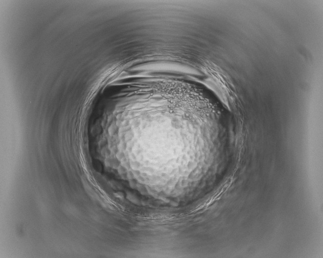 X0000115520145200911201706