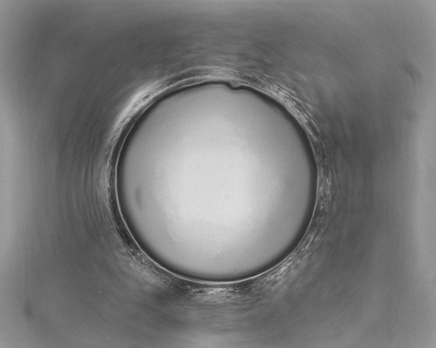 X0000115520151200911201706