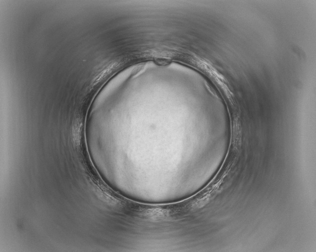 X0000115520153200911201706