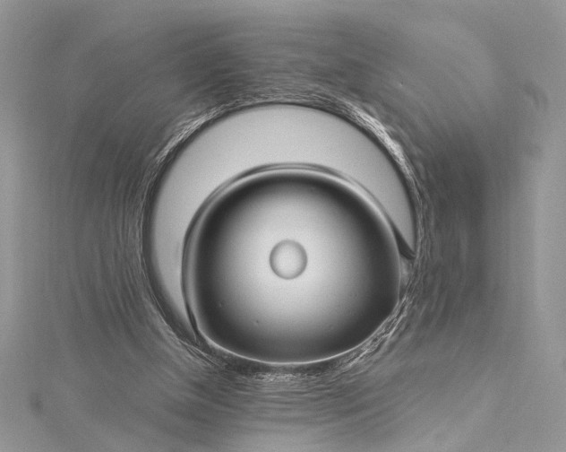 X0000115520154200911201706