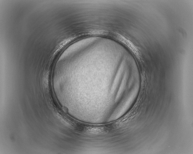 X0000115520155200911201706