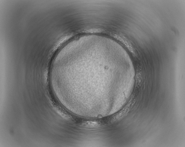 X0000115520159200911201706