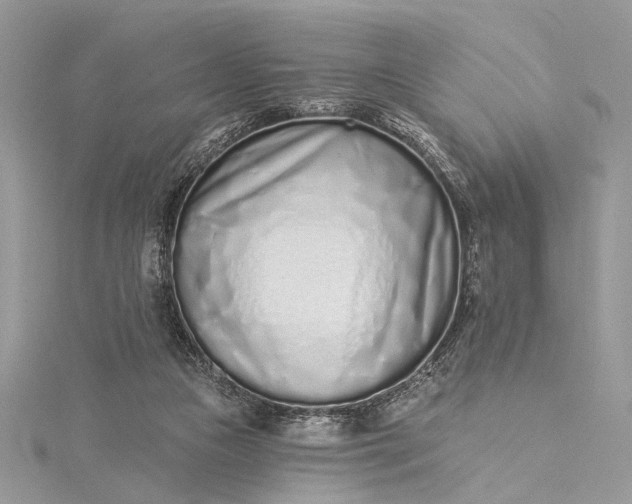 X0000115520161200911201706