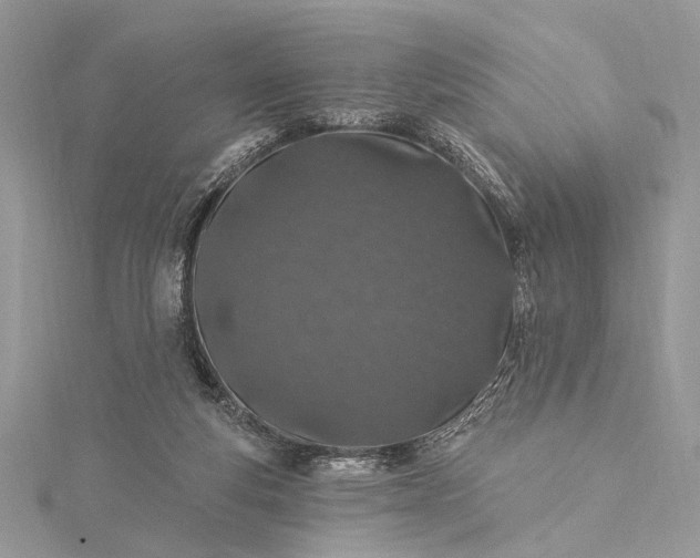 X0000115520163200911201706