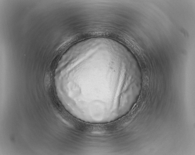 X0000115520165200911201706