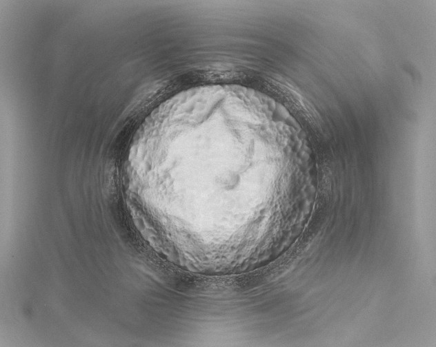 X0000115520169200911201706