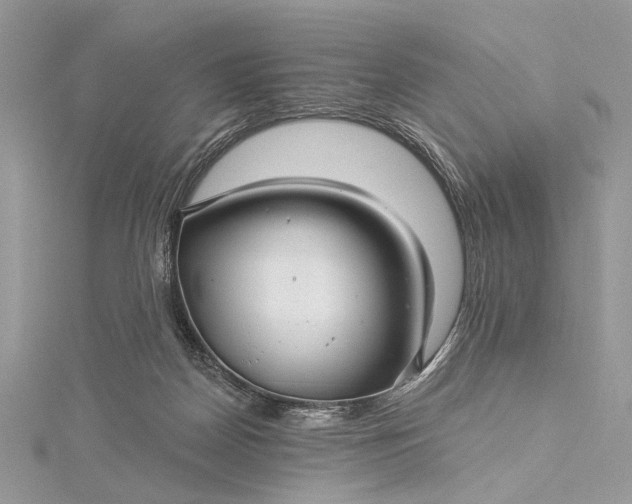 X0000115520170200911201706