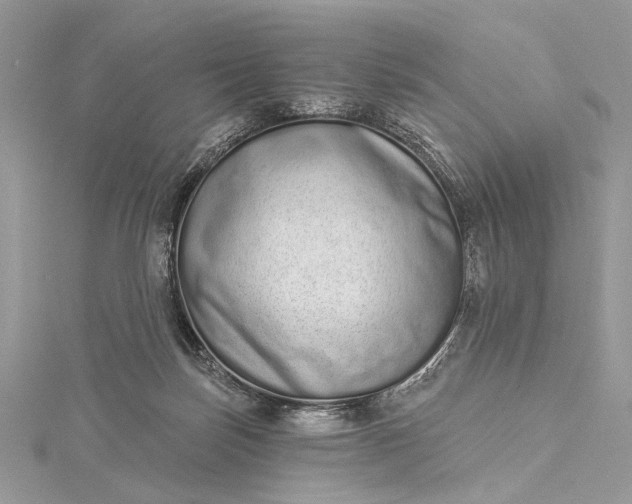 X0000115520171200911201706