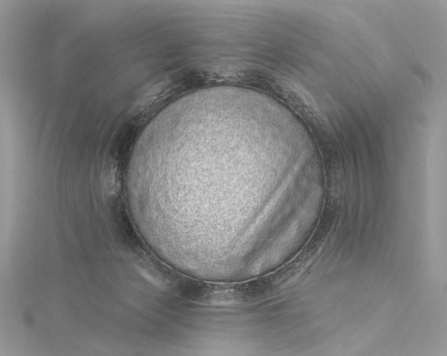 X0000115520173200911201706