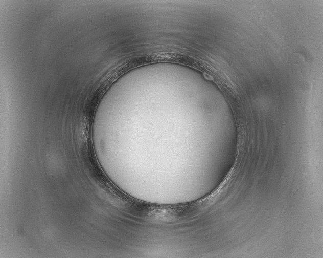 X0000115520174200911201706