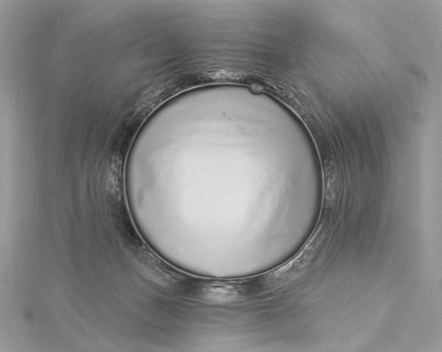 X0000115520175200911201706