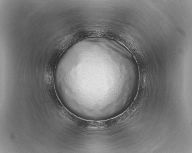 X0000115520177200911201706