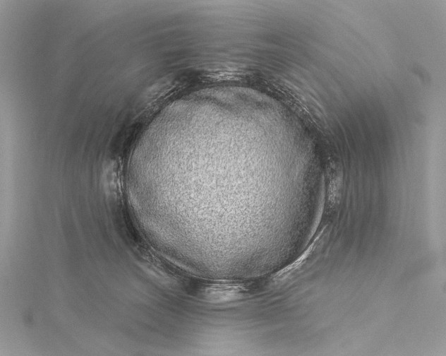 X0000115520179200911201706