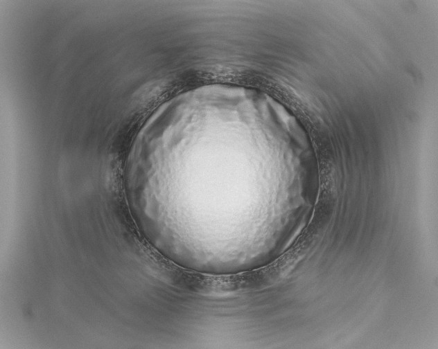 X0000115520181200911201706