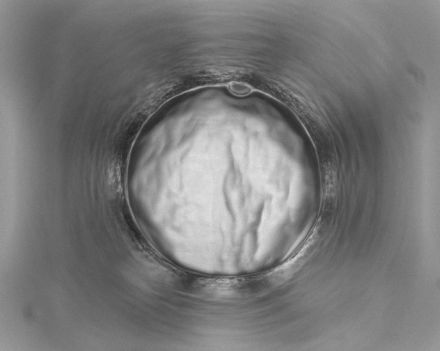 X0000115520182200911201706