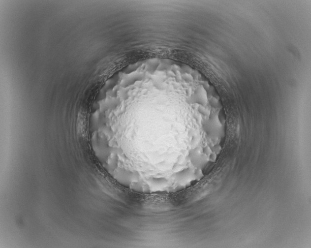 X0000115520185200911201706