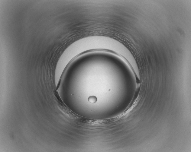 X0000115520186200911201706