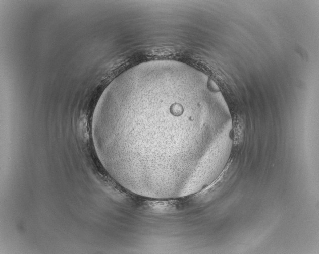 X0000115520187200911201706