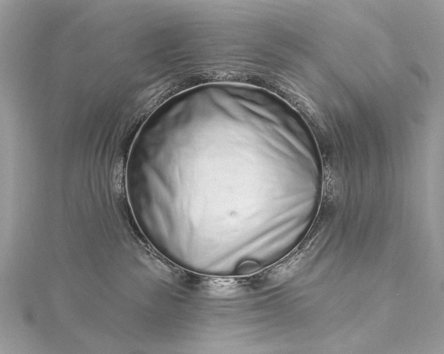 X0000115520189200911201707