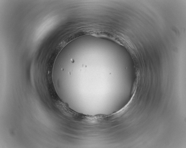 X0000115520190200911201707