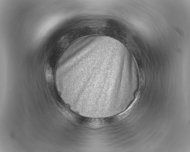 X0000115520191200911201707