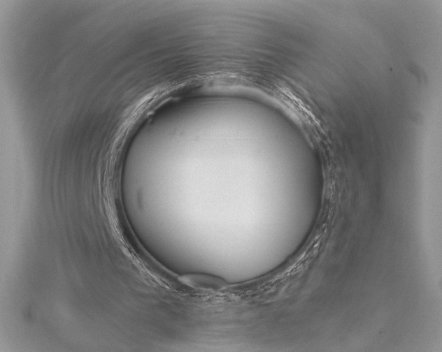 X0000115520193200911201706