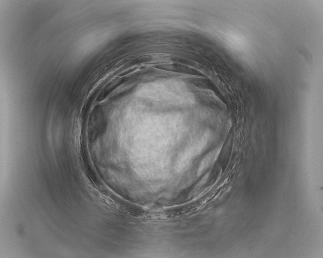 X0000115520194200911201706