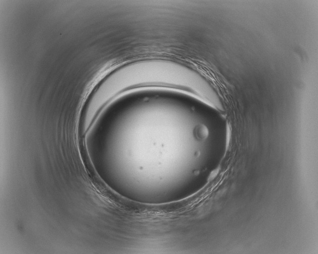 X0000115520195200911201706