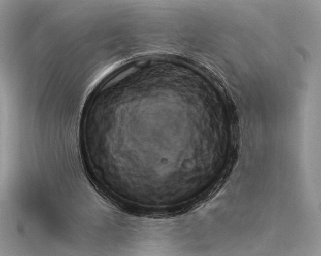 X0000115520196200911201706