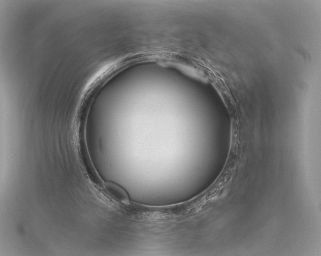 X0000115520197200911201706