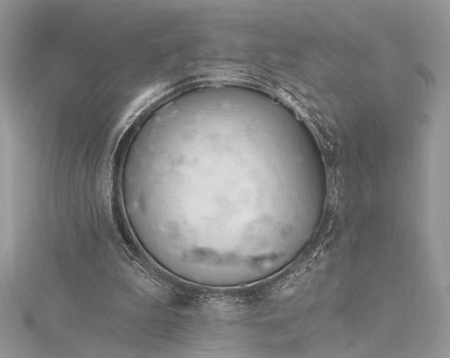 X0000115520199200911201706