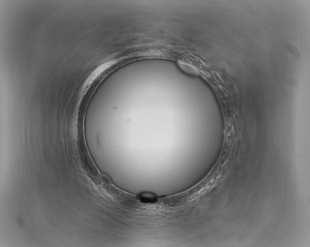 X0000115520200200911201706