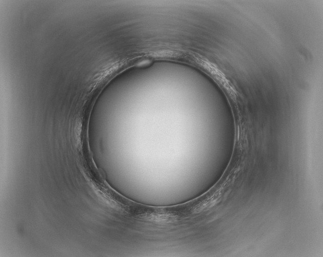 X0000115520201200911201706