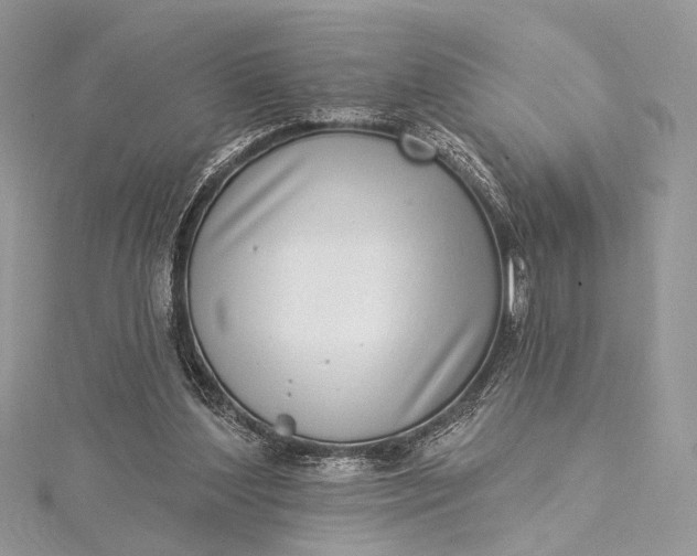 X0000115520204200911201706