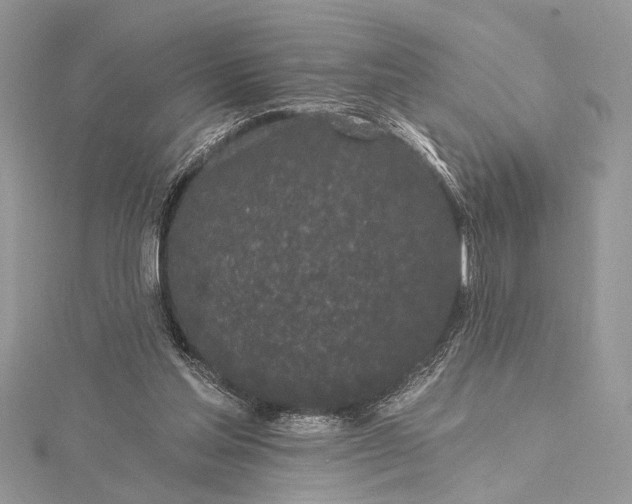 X0000115520205200911201706