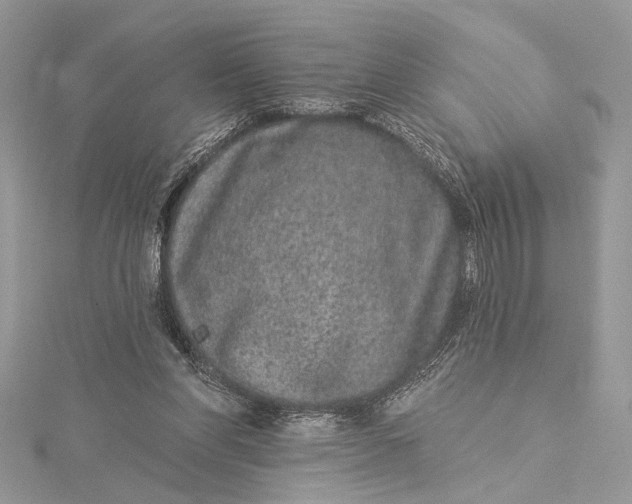 X0000115520206200911201706