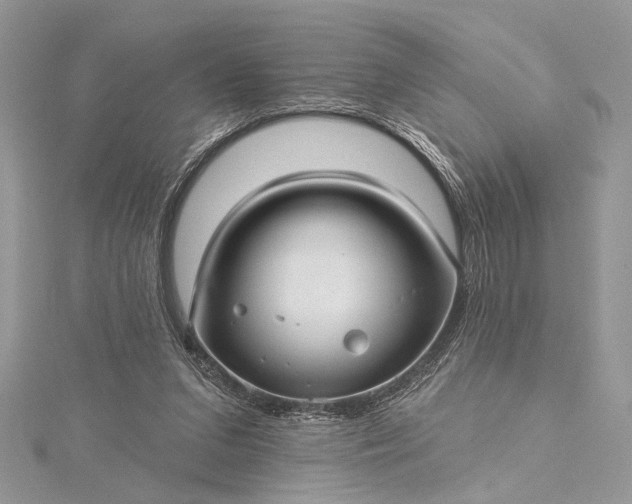 X0000115520207200911201706