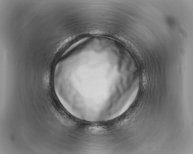 X0000115520208200911201706