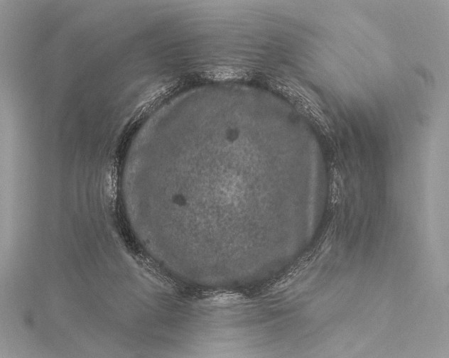 X0000115520210200911201706