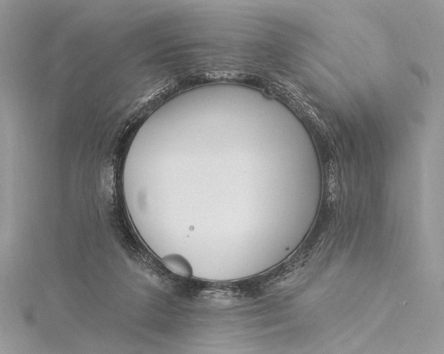 X0000115520211200911201706